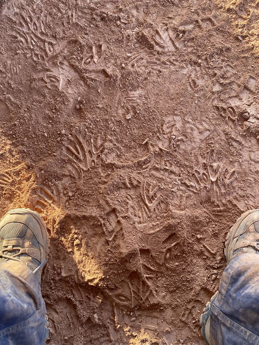 The dirt is more like a very fine, soft silt that covers *everything*