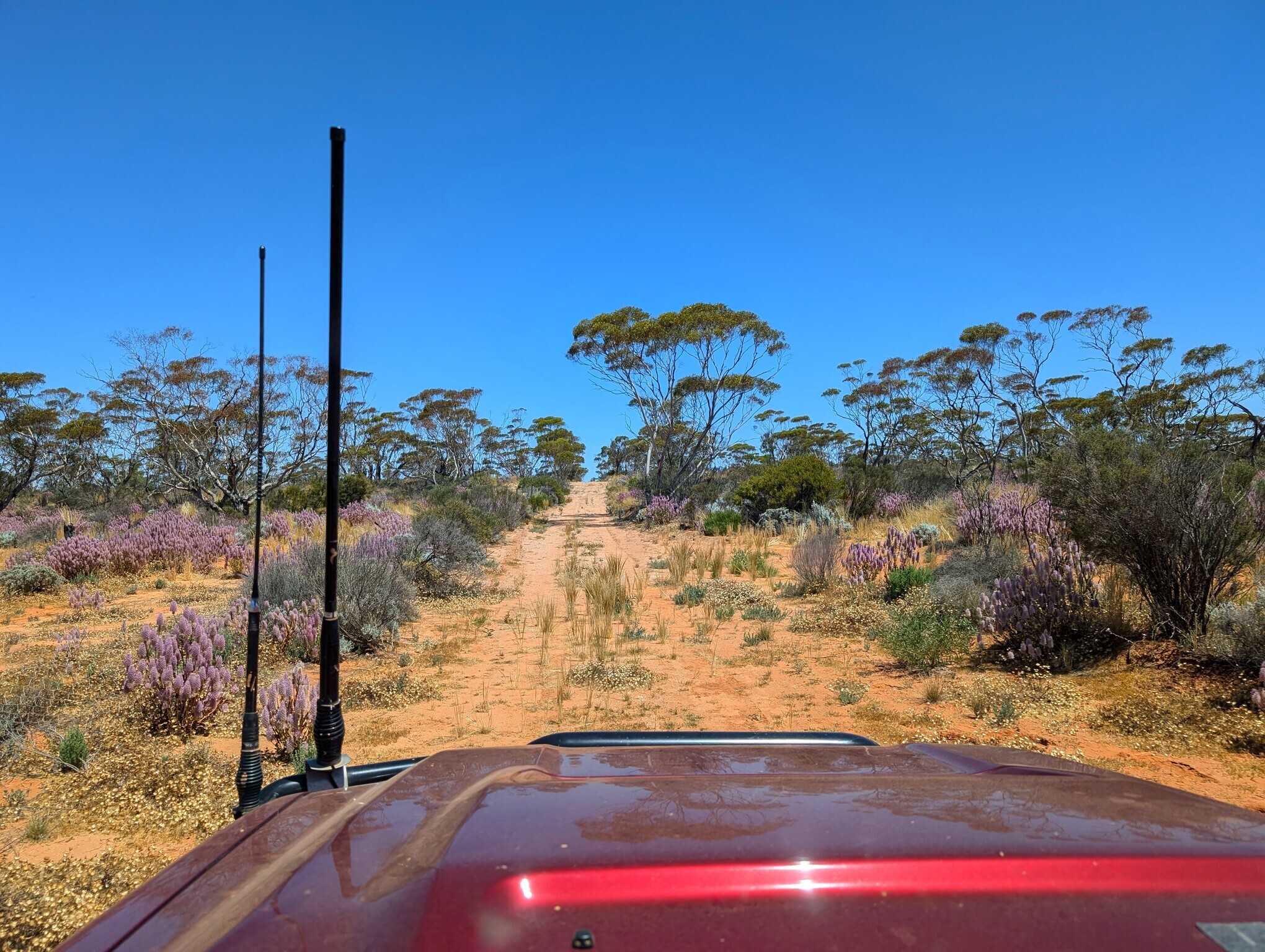 We then head back down to our last camera, in Kanandah.